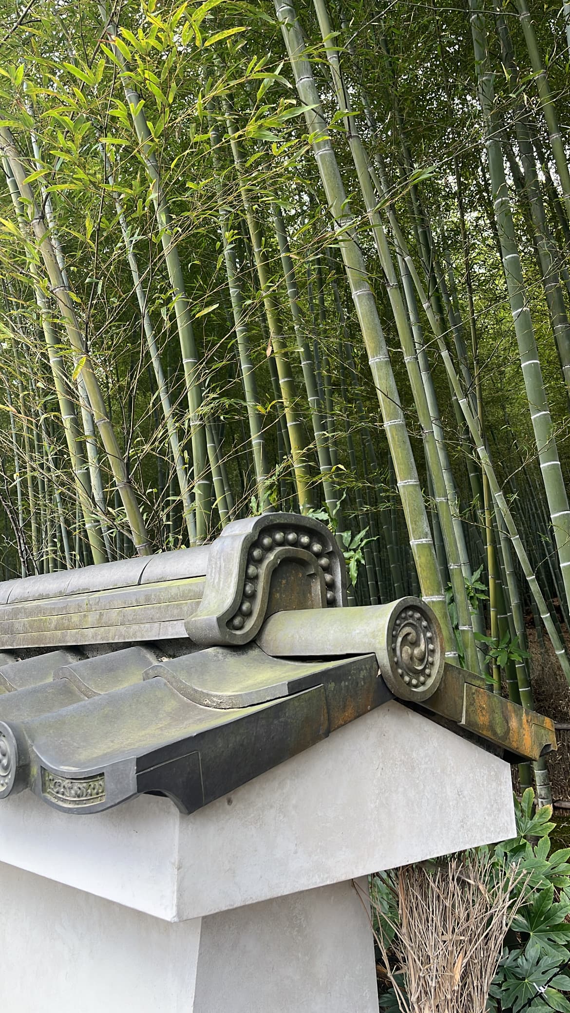 Arashiyama Bamboo Forest, Kyoto
