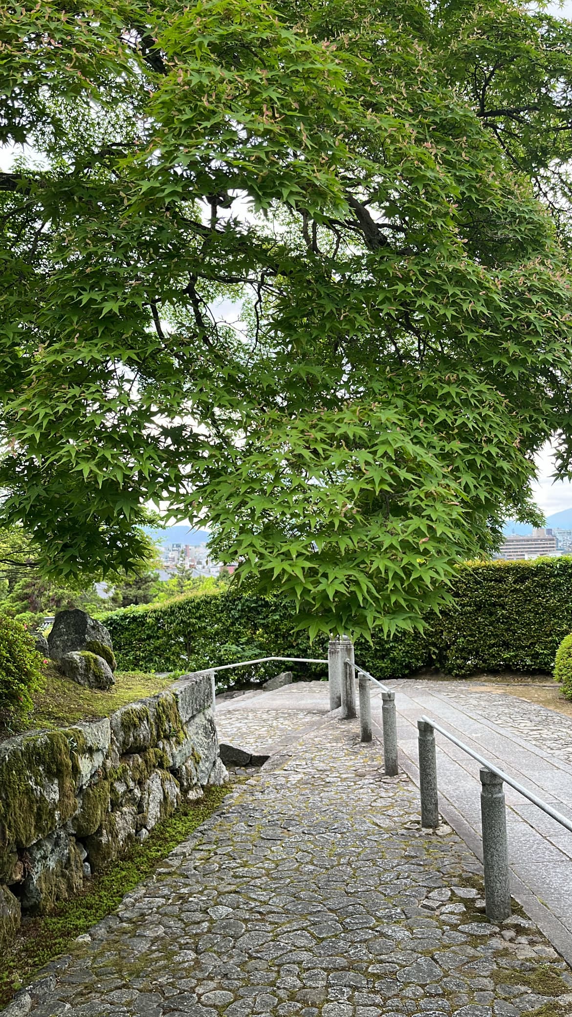 Path, Kyoto