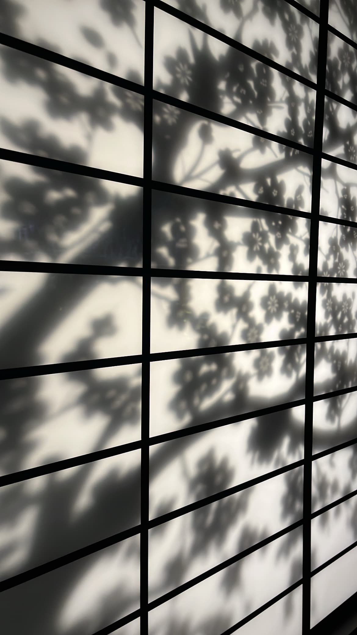 Shoji  Door, Tokyo