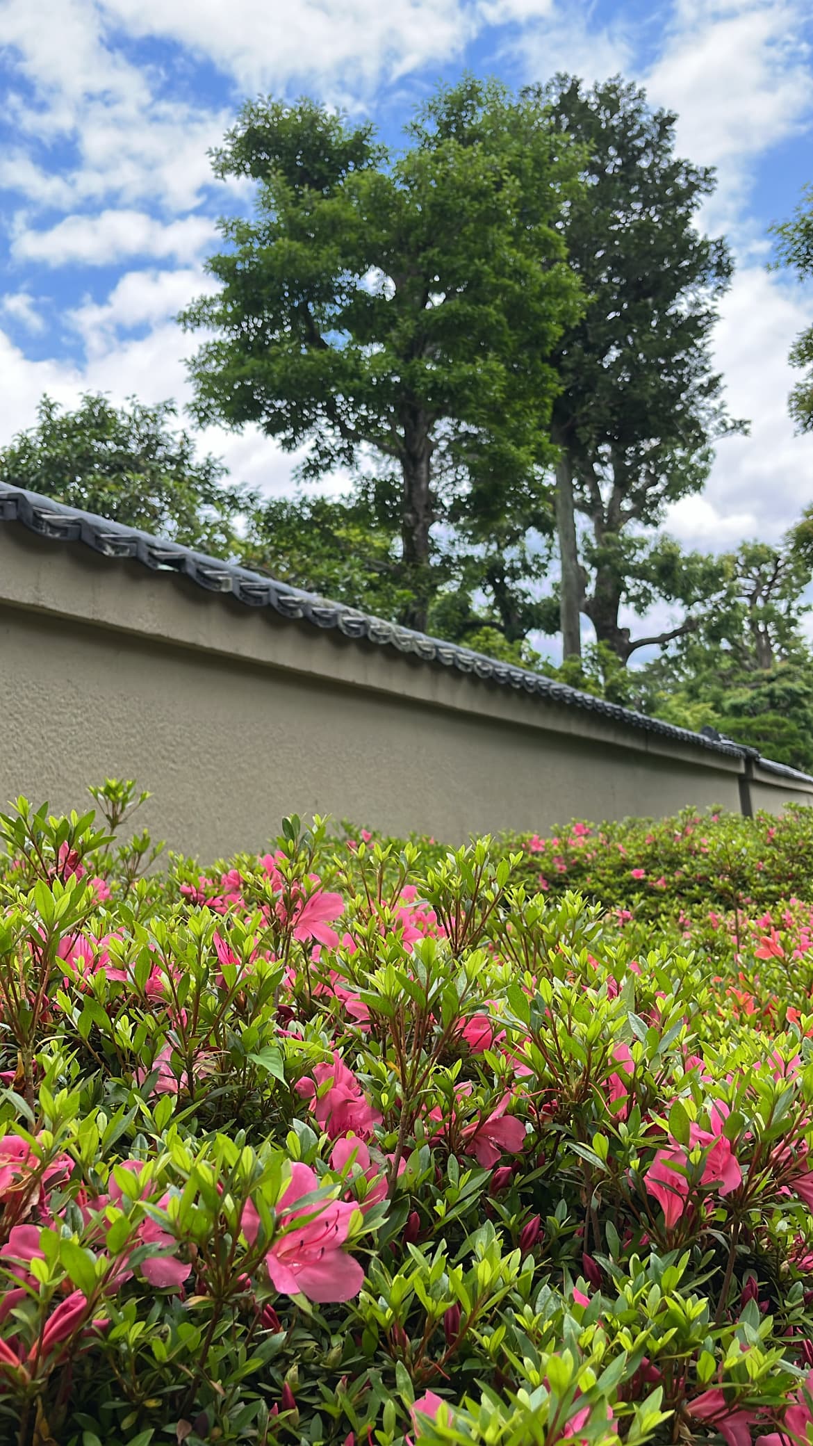 Temple Wall, Kyoto