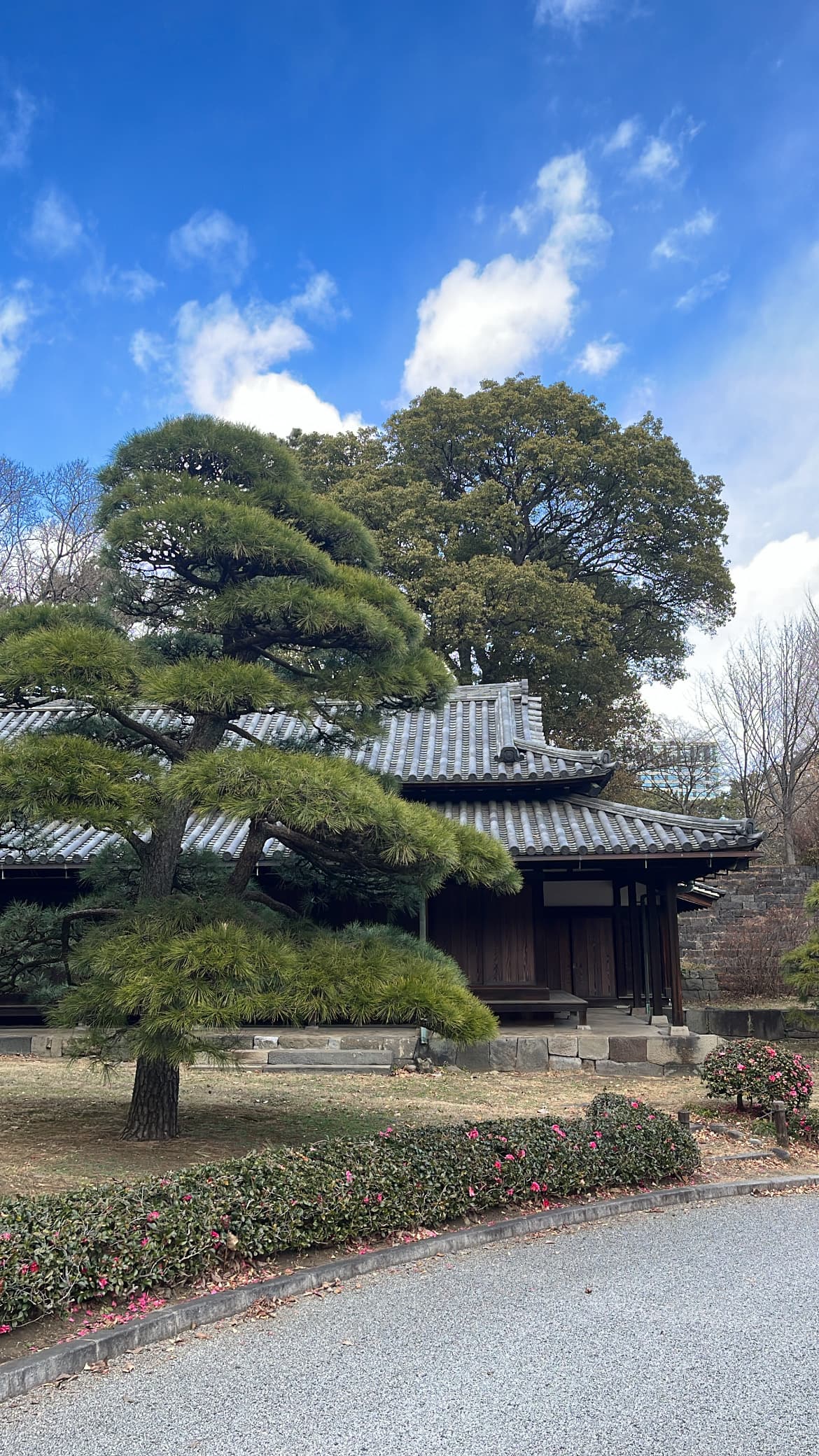 Tokyo Imperial Palace, Tokyo